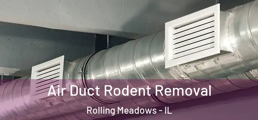  Air Duct Rodent Removal Rolling Meadows - IL