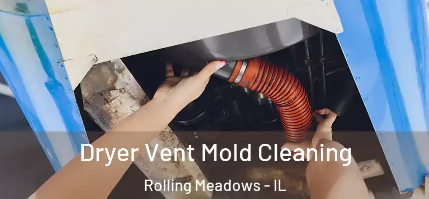Dryer Vent Mold Cleaning Rolling Meadows - IL