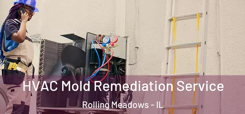  HVAC Mold Remediation Service Rolling Meadows - IL