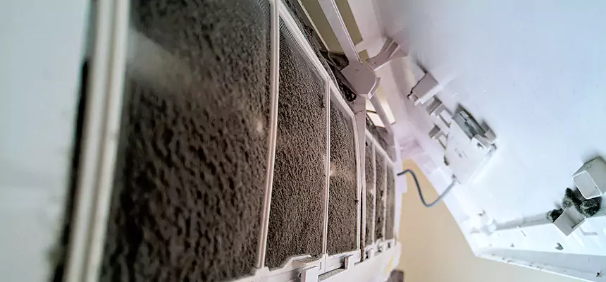 Preventive Air Duct Bacteria Removal in Rolling Meadows