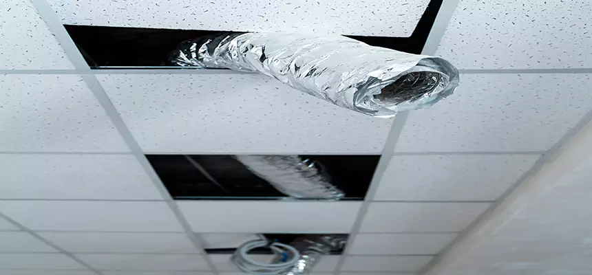 Our Air Duct Pet Hair Removal Services in Rolling Meadows, IL