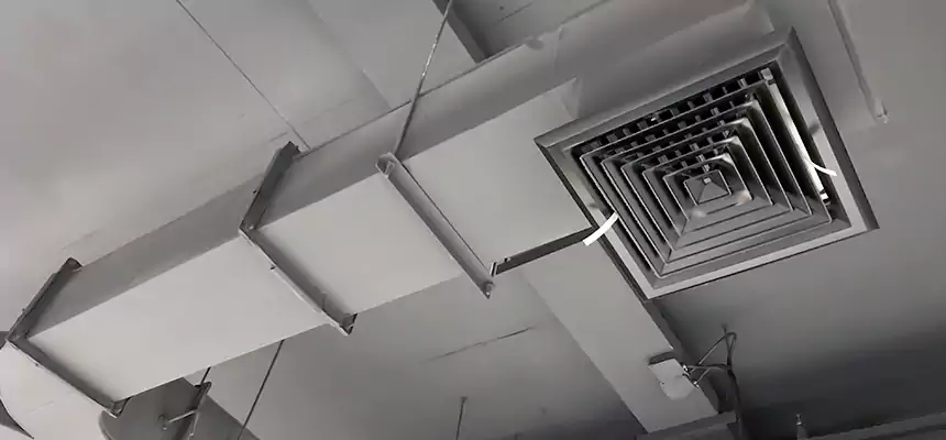 Restorative Allergy Relief Vent Cleaning – Coil, Blower & Housing Detail in Rolling Meadows