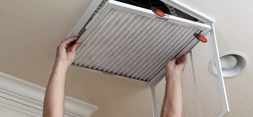 Our Insect Removal from Air Ducts Services in Rolling Meadows, IL