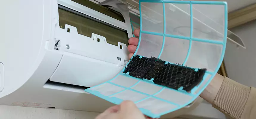 Gentle Ductwork Odor-Control Pet Dander Duct Cleaning in Rolling Meadows, IL