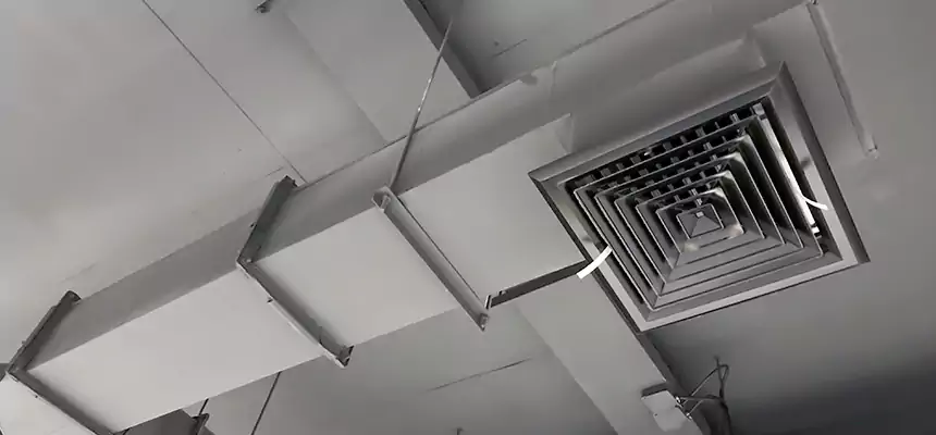 Our Rodent Droppings In Vents Services in Rolling Meadows, IL