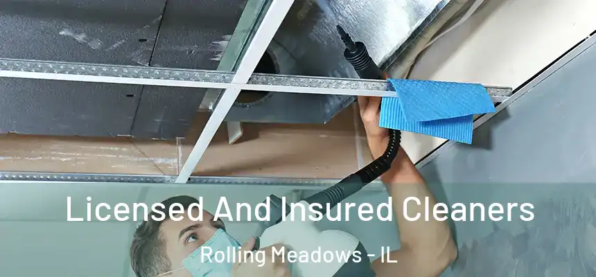  Licensed And Insured Cleaners Rolling Meadows - IL