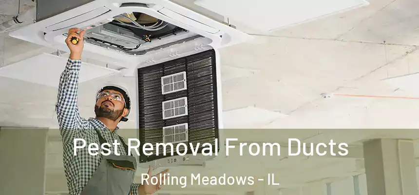  Pest Removal From Ducts Rolling Meadows - IL