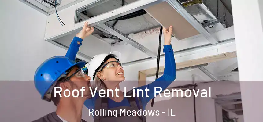  Roof Vent Lint Removal Rolling Meadows - IL