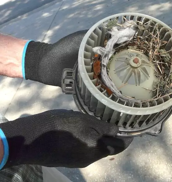 About Air Duct Mice Removal in Rolling Meadows, IL