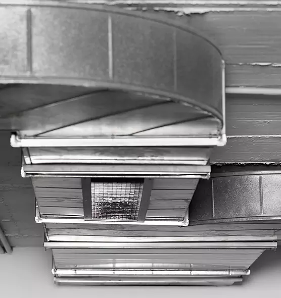 Professional Air Duct Pet Hair Removal in Rolling Meadows, IL