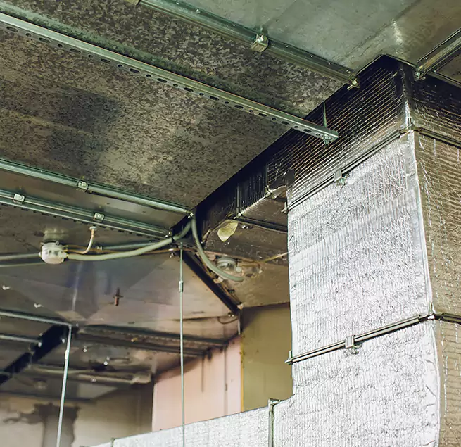 Why Homeowners & Businesses Trust Us in Rolling Meadows, IL?